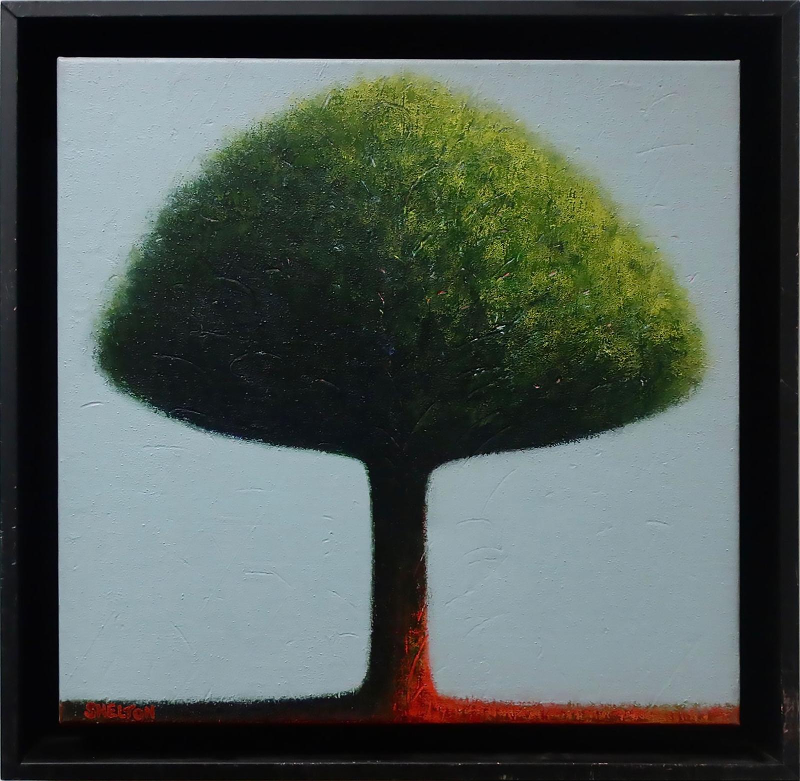 Barry Shelton - Little Big Tree
