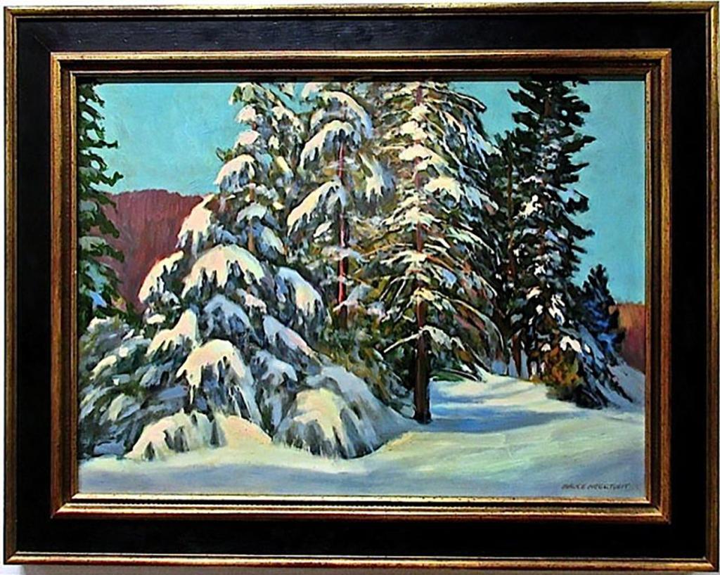 Bruce Allen Heggtveit (1917-2002) - Snow Laden Evergreen - Gatineau Park, Quebec