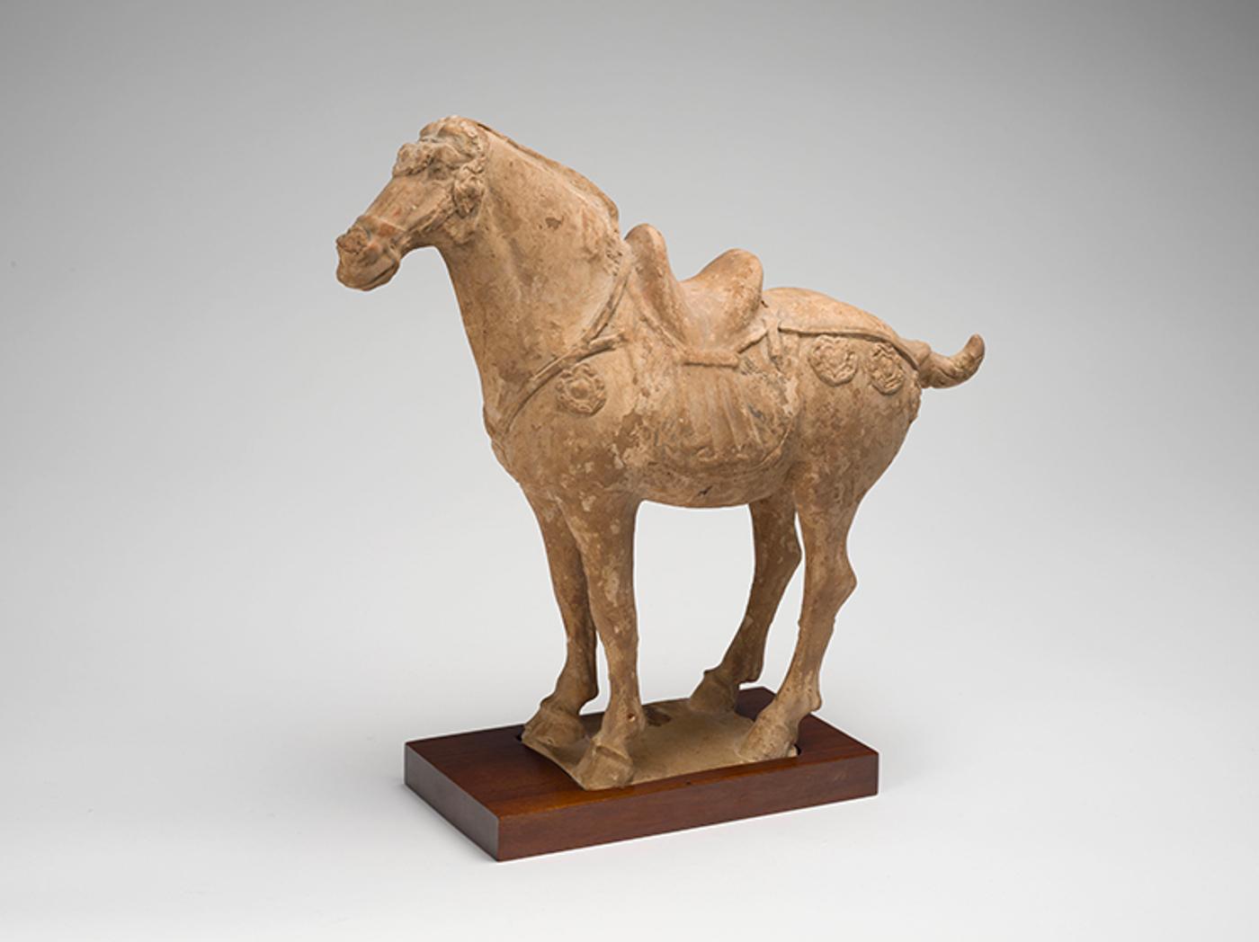 Chinese Art - A Chinese Buff Earthenware Model of a Horse, Tang Dynasty (618-907 CE)