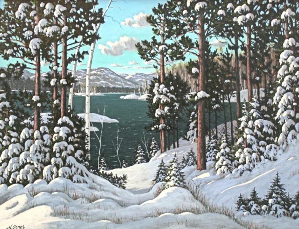 N. Jones - Snow Laden Pines