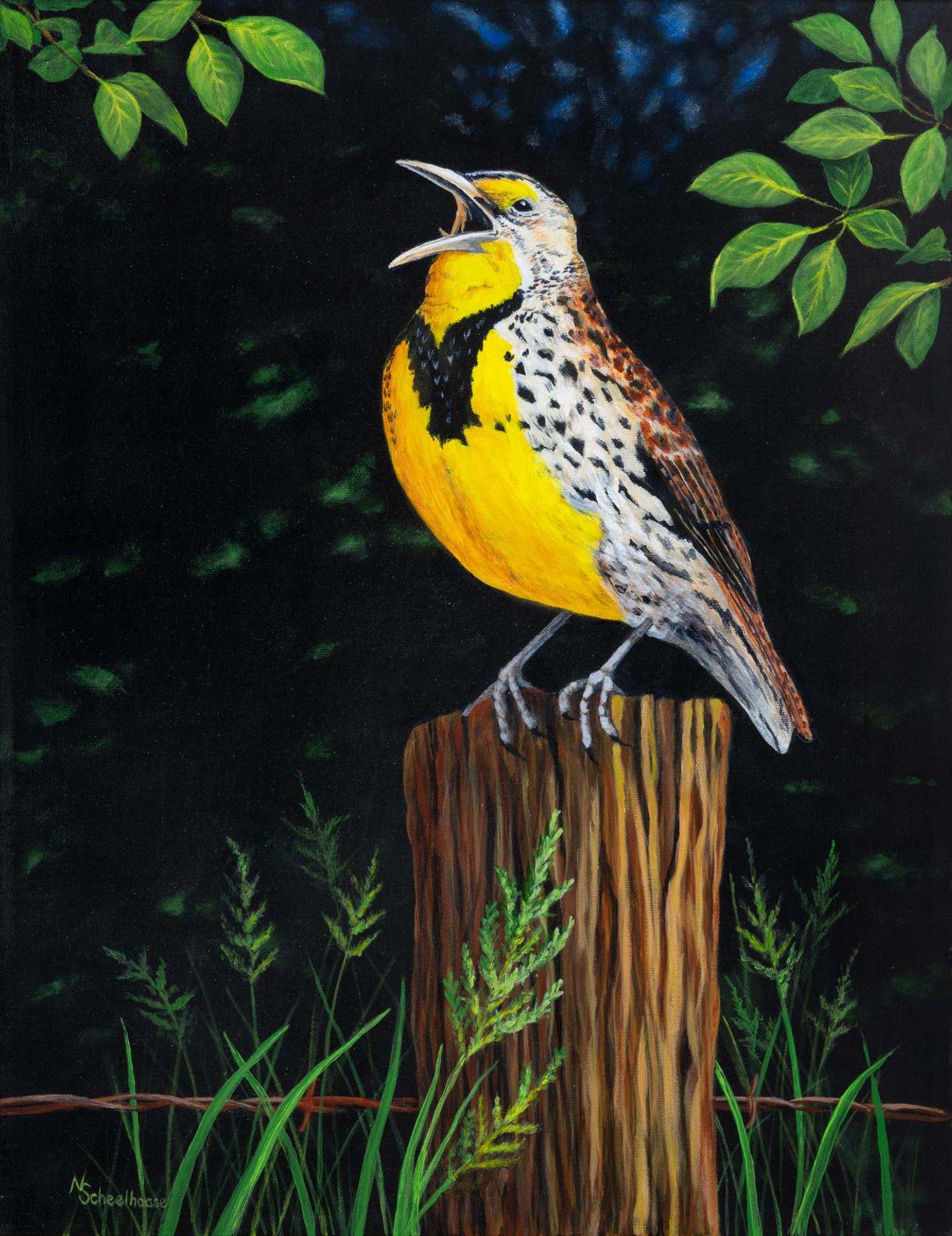 Norm Scheelhaase (1954-2020) - Meadowlark