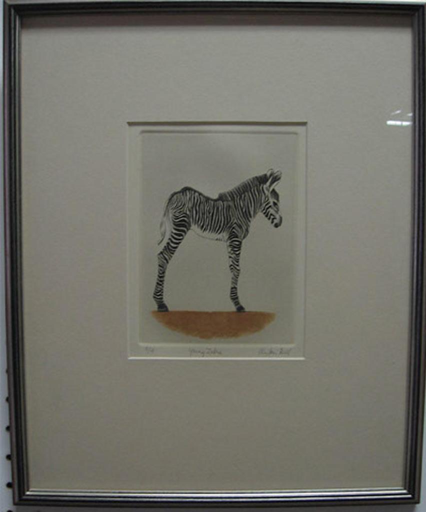 Alistair Macready Bell (1913-1997) - Zebra