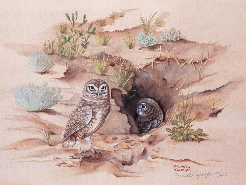Paulett Sapergia - Losing Ground - Burrowing Owls