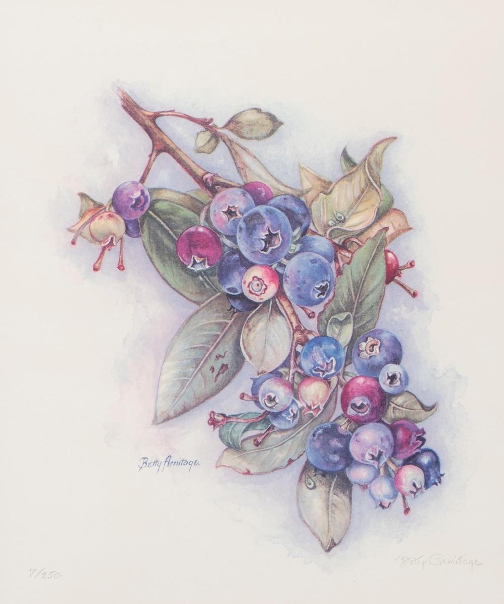 Betty Armitage (1923-2005) - Saskatoon Berries