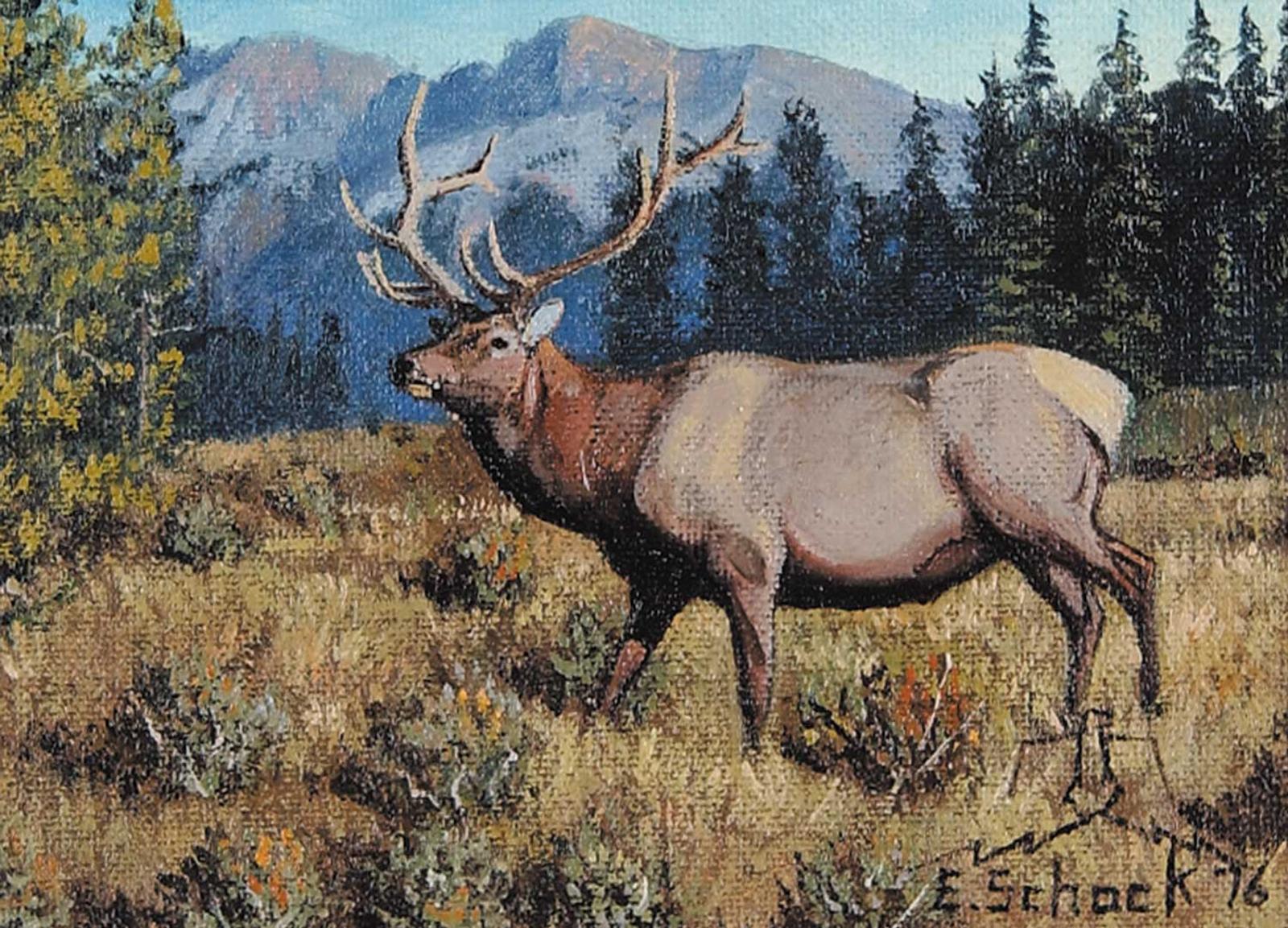 Elmer Schock - Elk [small]