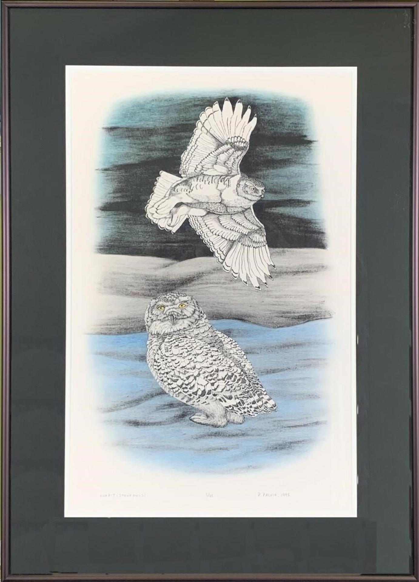 Peter Palvik (1960) - Ookpit (Snowy Owls); 1995; ed. #5/35