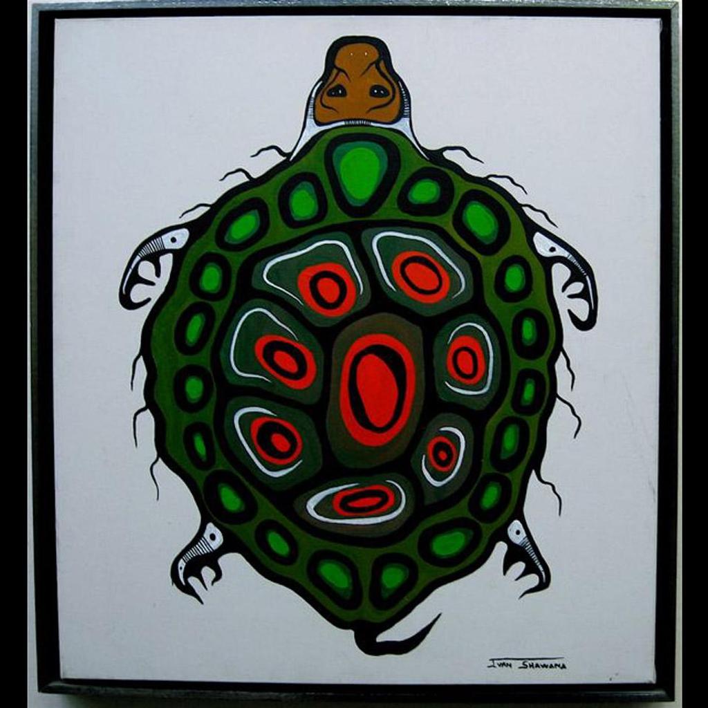 Ivan Shawana (1960) - Turtle