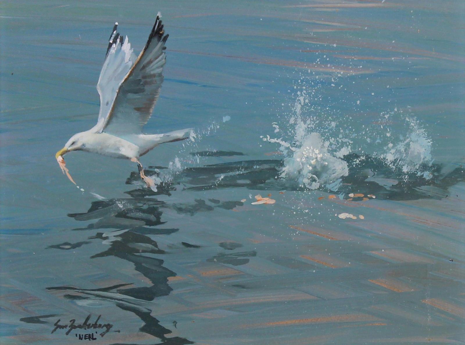 Stanley M. Zuckerberg (1919-1995) - Herring Gull, Neil