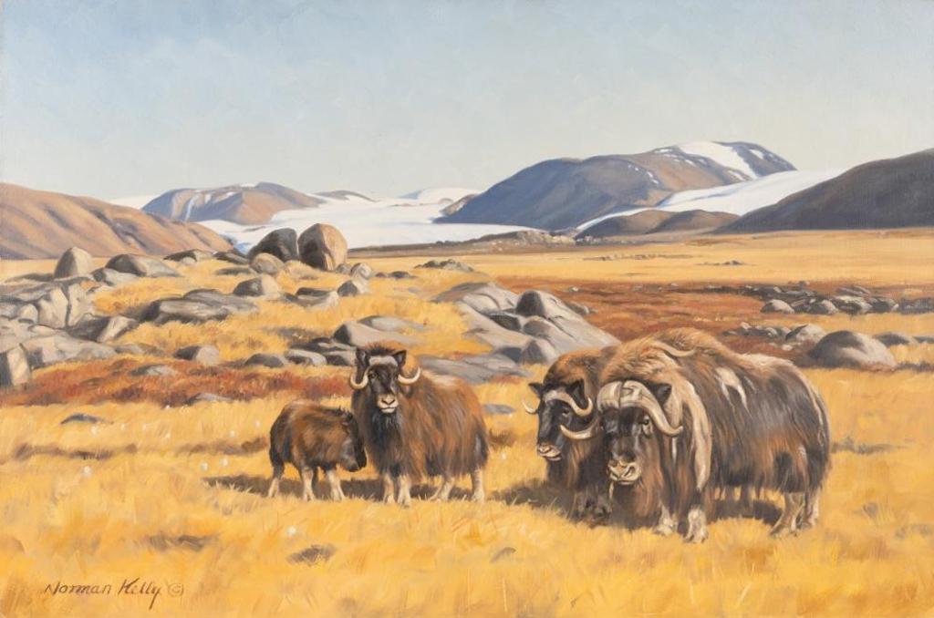 Norman Kelly (1939) - Home of the Musk Ox