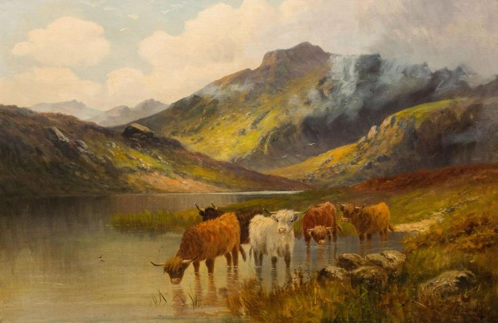 Charles W. Oswald - Highland Cattle