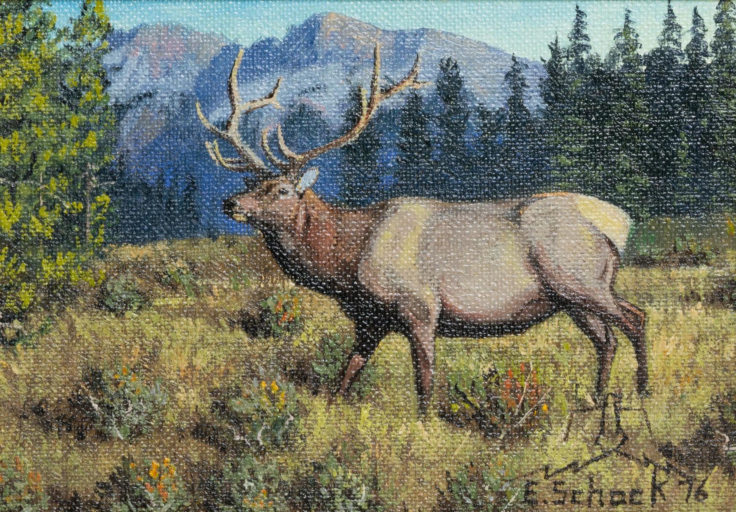 Elmer Schock (1970) - Elk