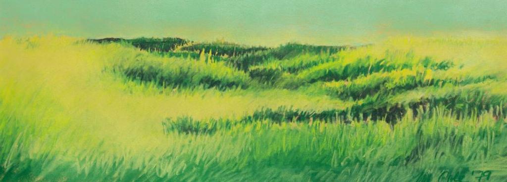 Martha Cole (1946) - Untitled - Grasslands Early Summer