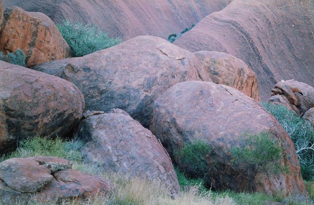 Courtney Milne (1943-2010) - Kutungga, Aboriginal Spirit Mother