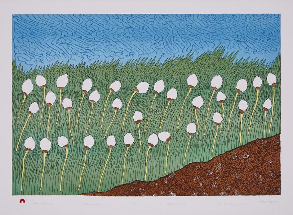 Nicotye Samayualie (1983) - Cotton Grass