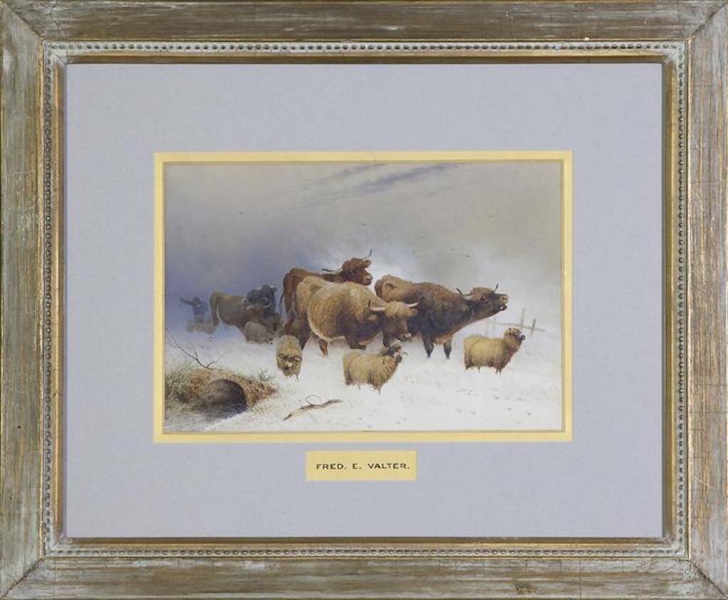 Fred E. Valter - Highland Cattle and Sheep Caught in a Snowdrift
