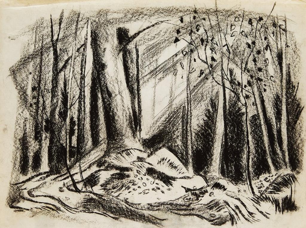 Alexander Samuel Millar (1921-1978) - Forest Landscape; Country Landscape; Forest Study; Tree Study; Abstract Tree; Angry Cat