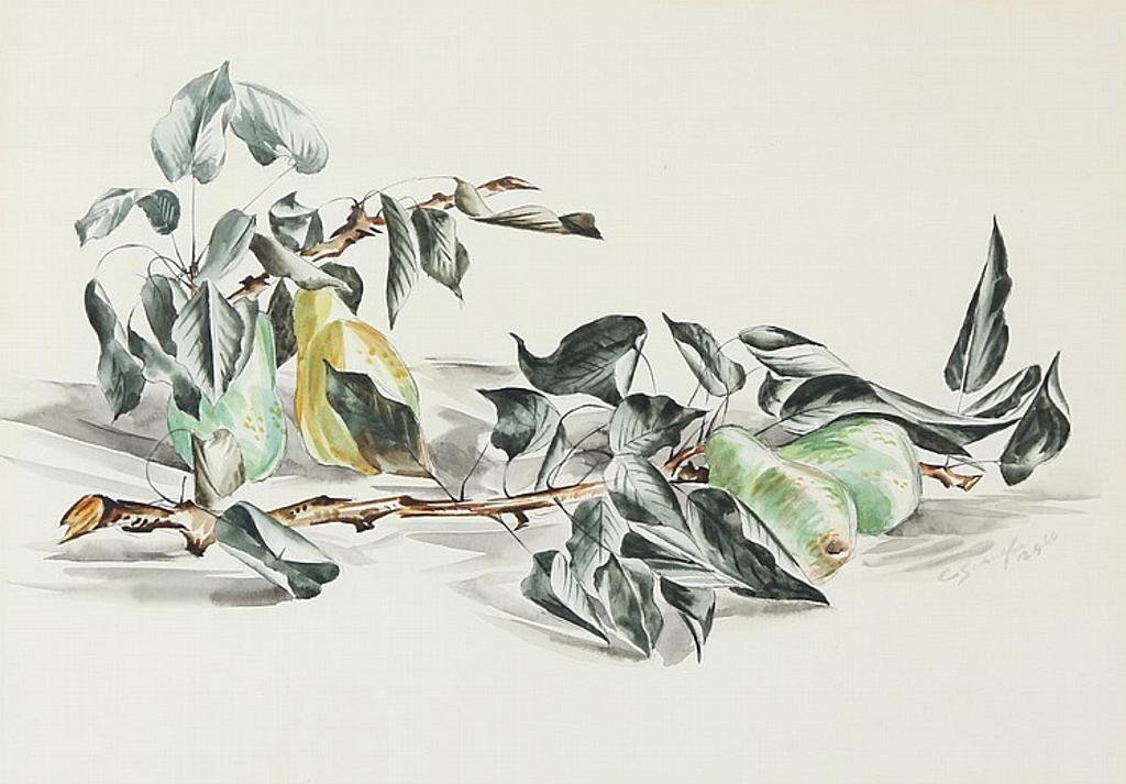 Carl Fellman Schaefer (1903-1995) - Pears On A White Background