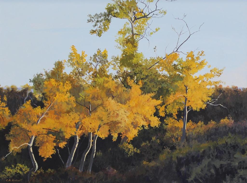 C. D. (Dave) Hiebert (1955) - Autumn Poplars