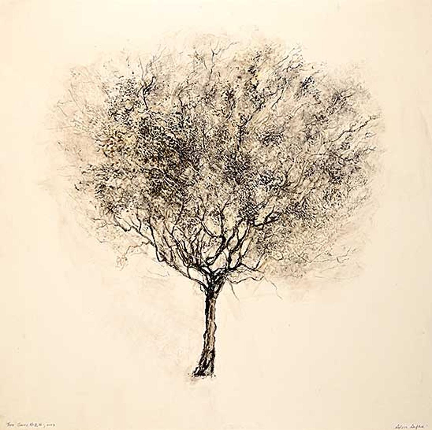 Sylvia Safdie (1942) - Tree Series No. IX, No 1