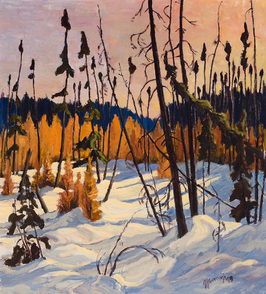 Dr. Maurice Hall Haycock (1900-1988) - Boreal Forest, North of Lake Superior, 1949