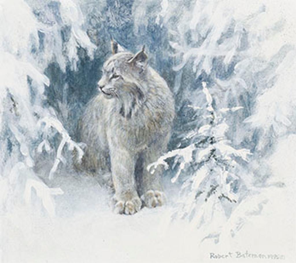 Robert Mclellan Bateman (1930-1922) - Lynx