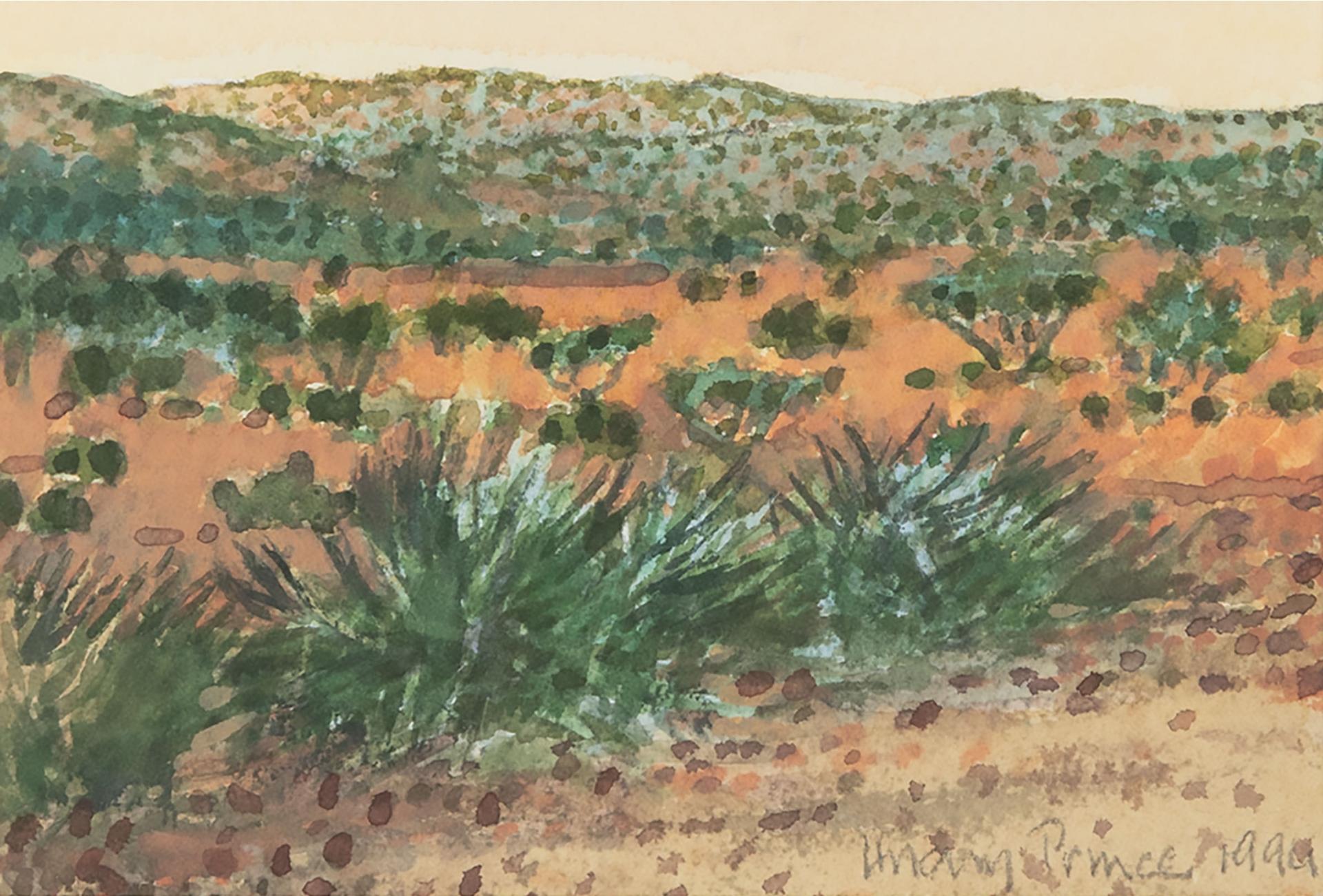 Hilary Prince (1945) - Near Windhoek, Namibia, 1994