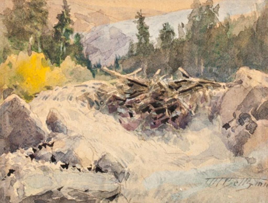Frederic Martlett Bell-Smith (1846-1923) - Glacier Cascade, Selkirks
