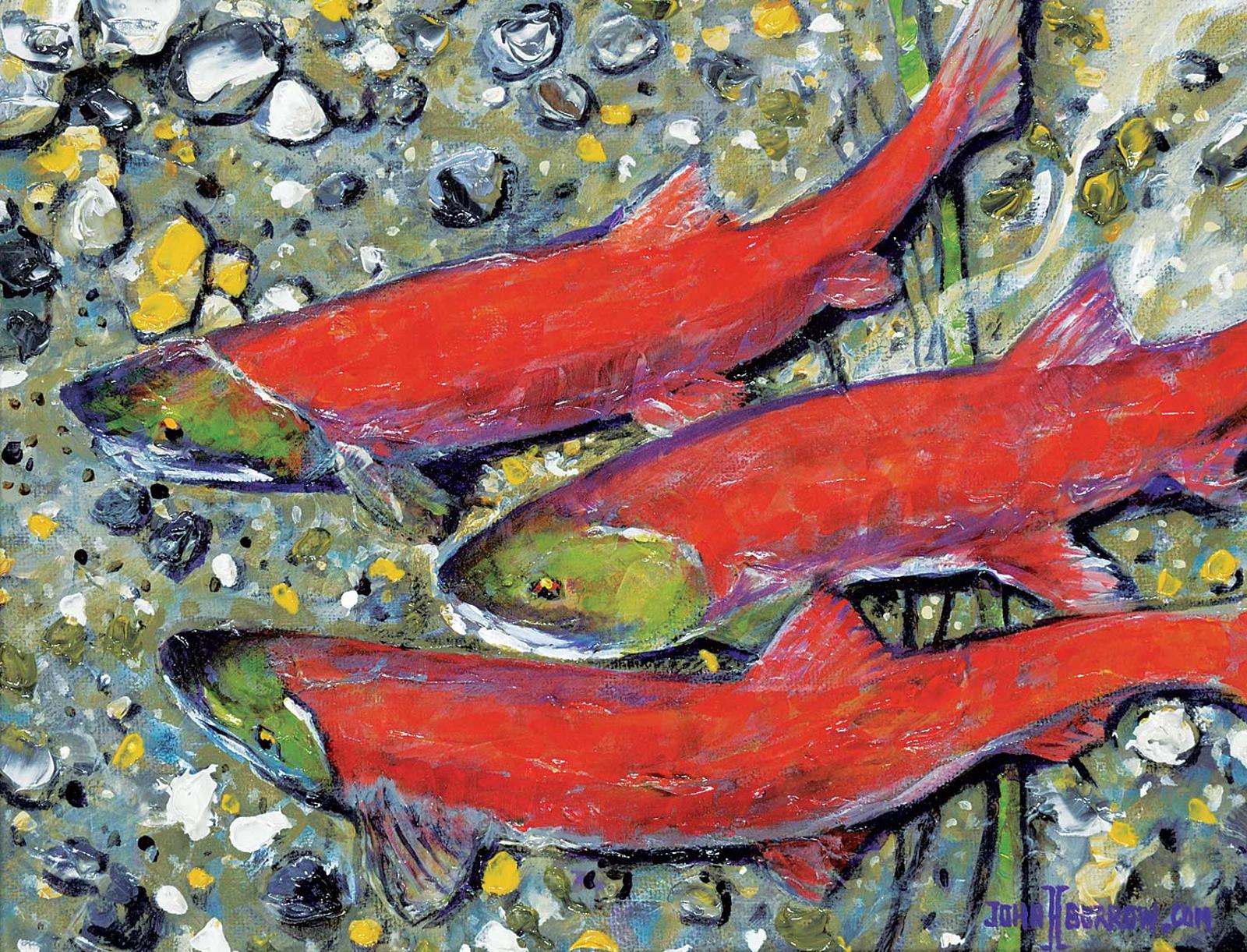 John H. Burrow (1955) - Early Salmon