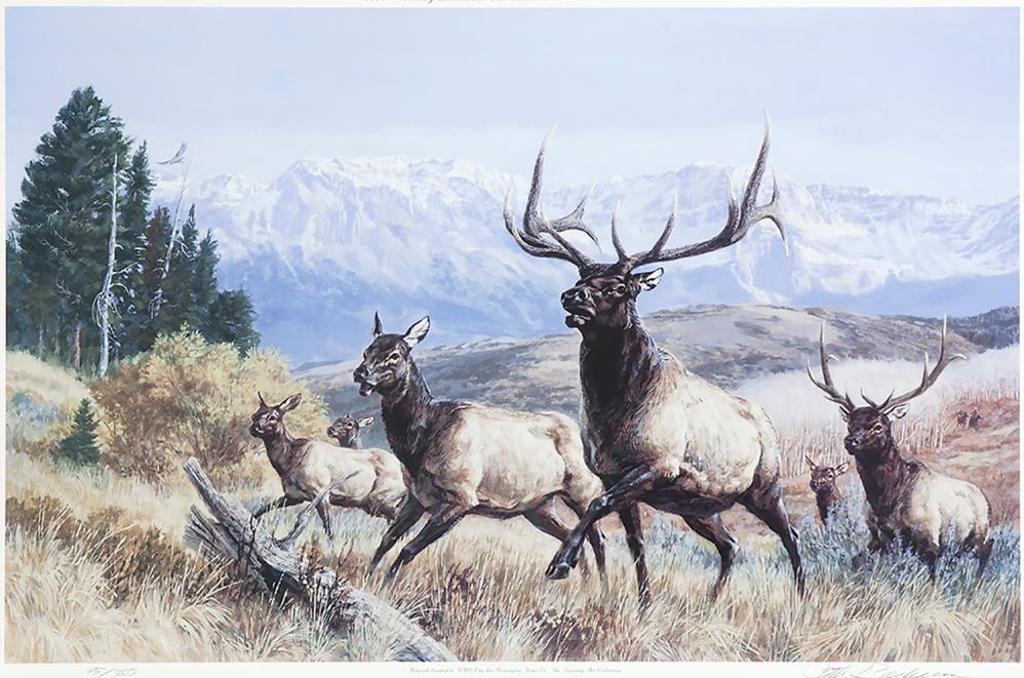 Tom Beecham (1926-2000) - Elk in the Rockies
