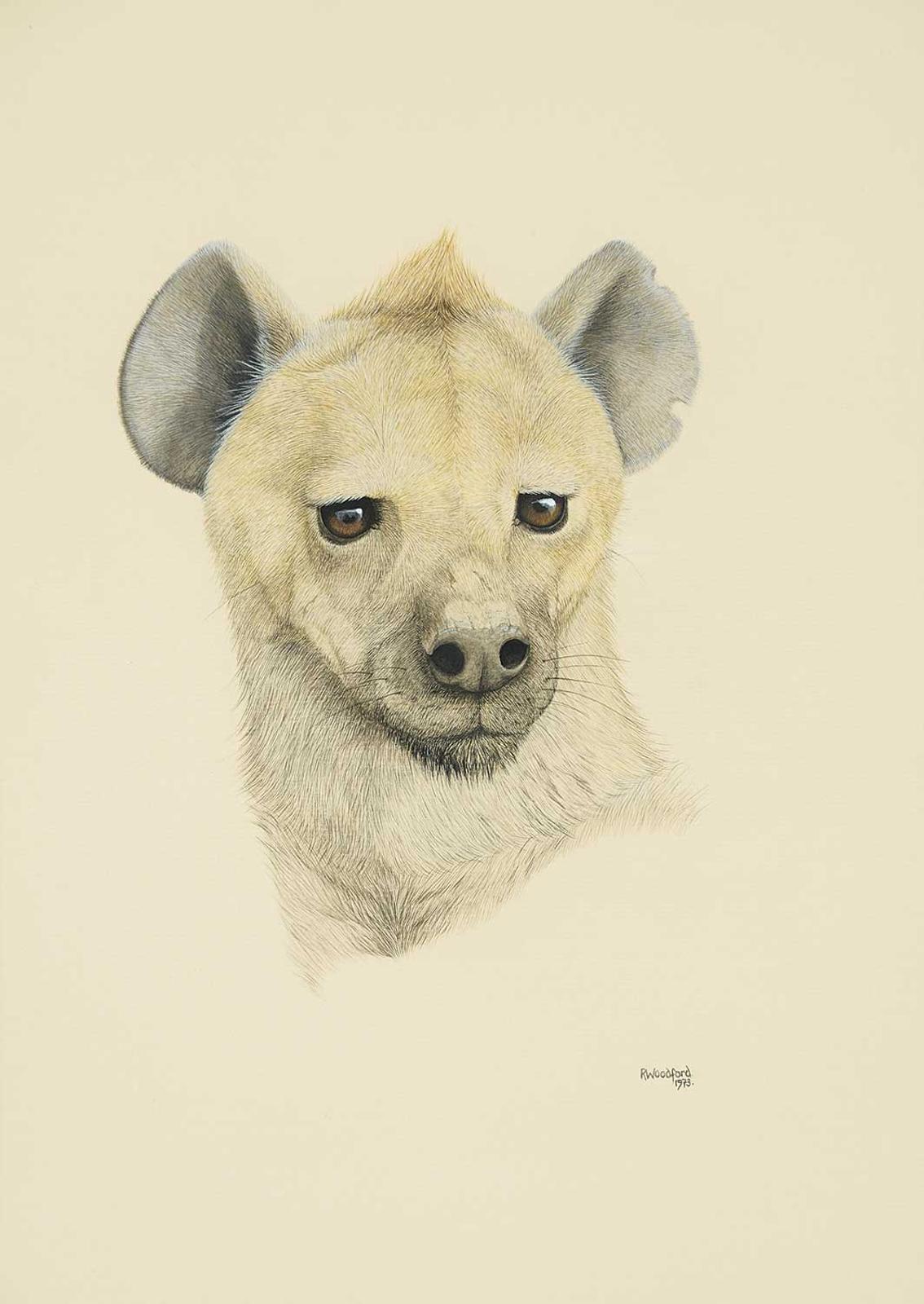 Rosemary Woodford - Untitled - Hyena Head