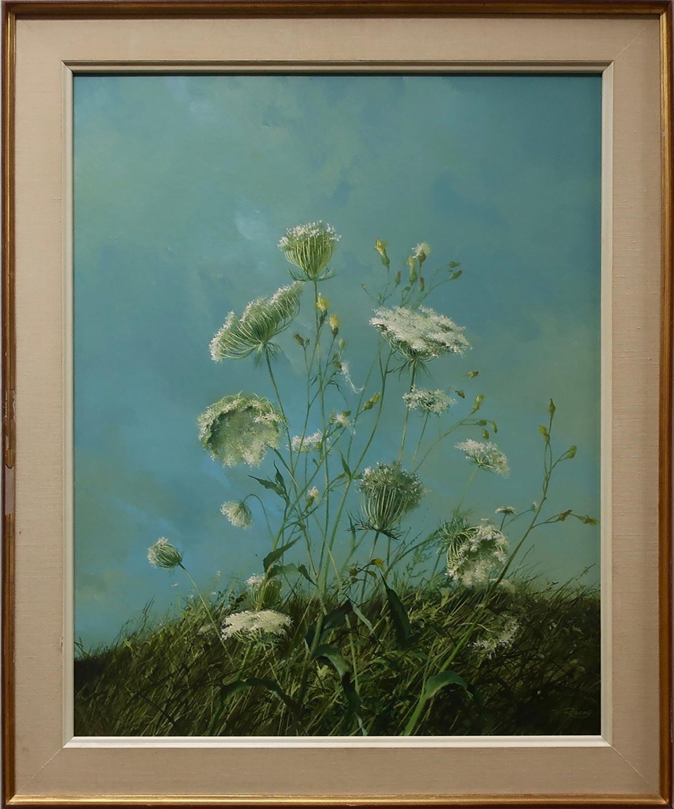 Geoffrey Allan Rock (1923-2000) - Queen Anne's Lace