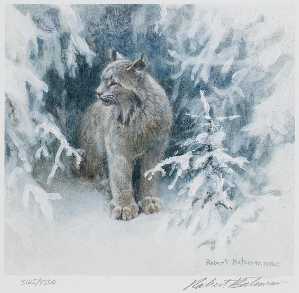 Robert Mclellan Bateman (1930-1922) - Lynx in Snow