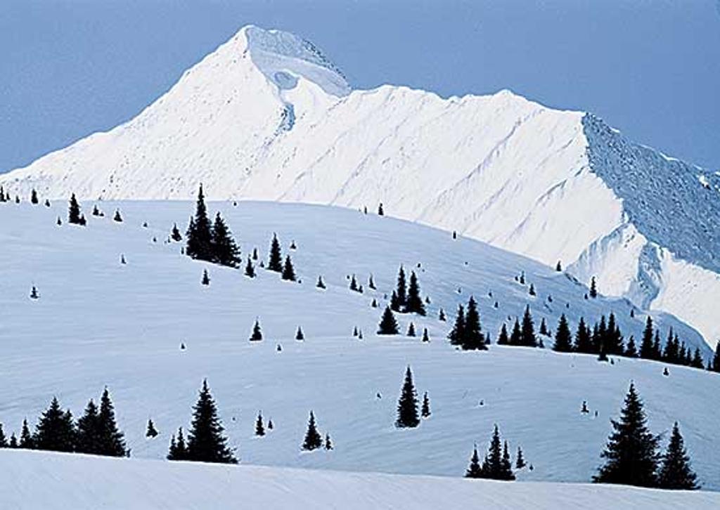 Harry Savage (1938) - Mt. Owen