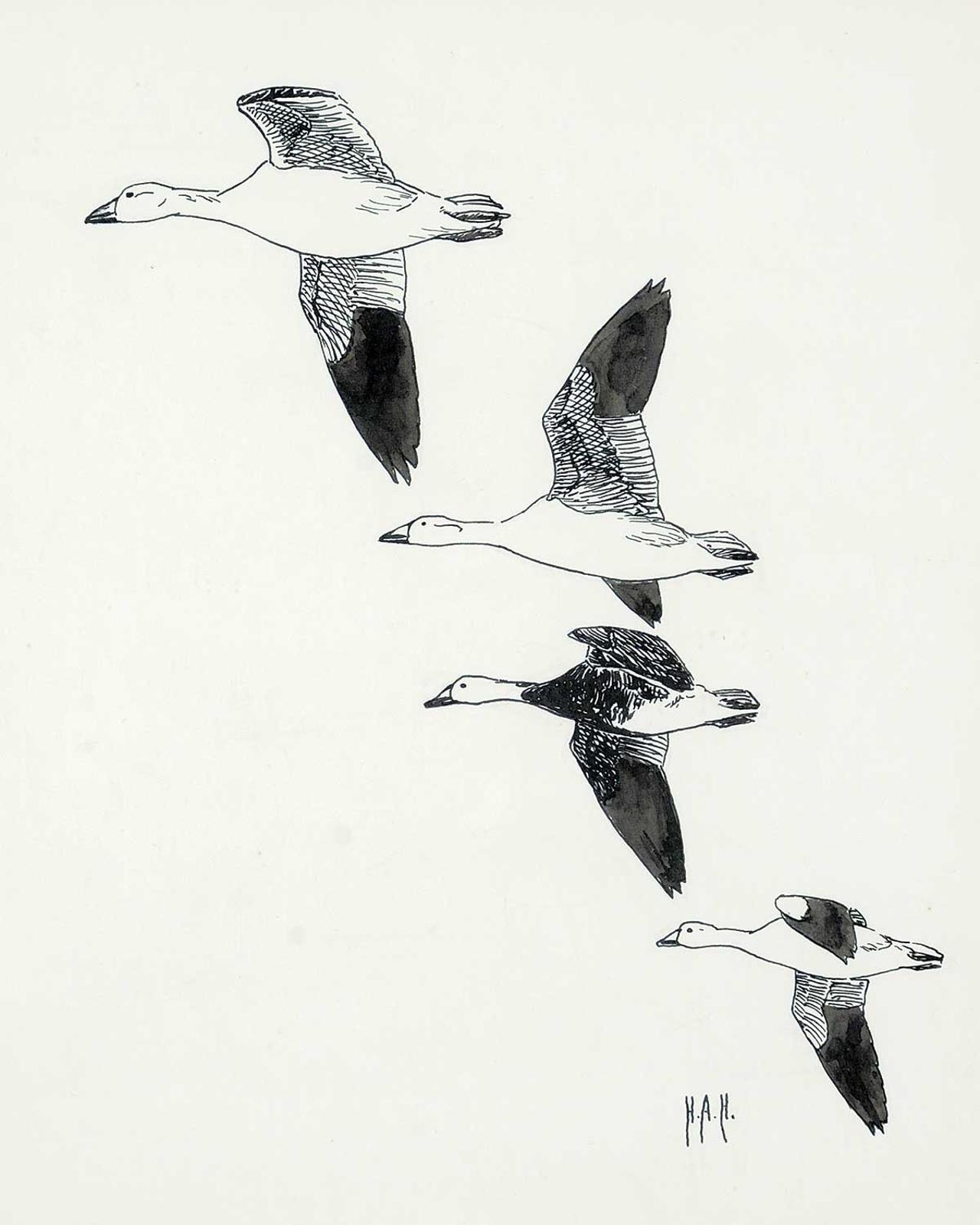 Hans Albert Hochbaum (1911-1988) - Untitled - Four Geese Flying