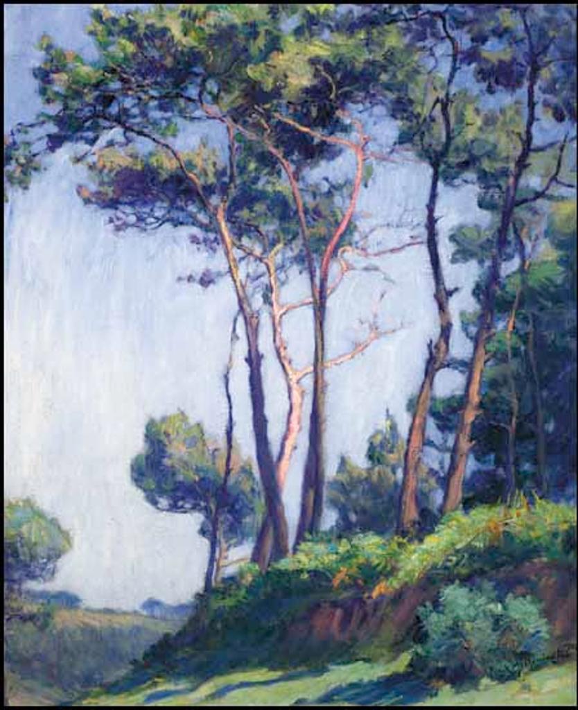 Franklin Milton Armington (1876-1941) - Les pins à St. Efflam
