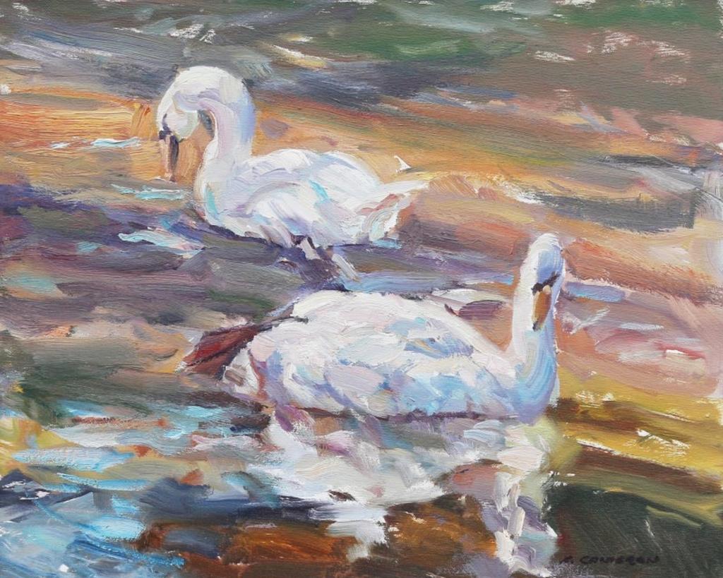 Fred Cameron (1937) - Reflections (Swans)
