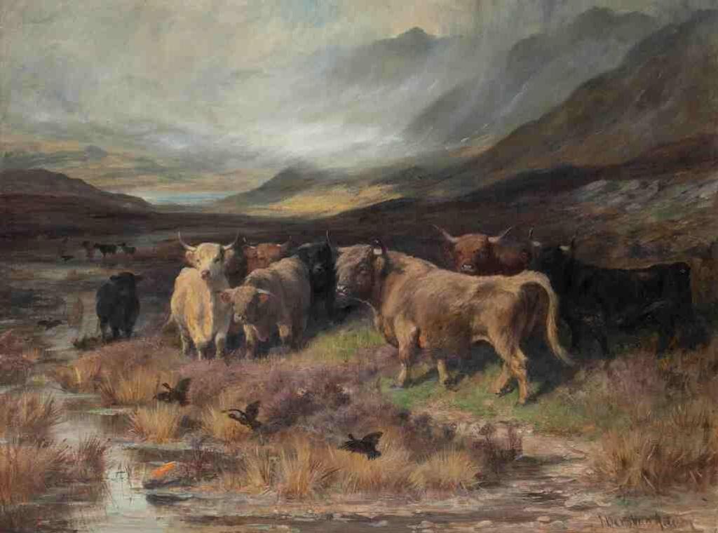 Joseph Denovan Adam Jr. (1870-1935) - Highland Cattle