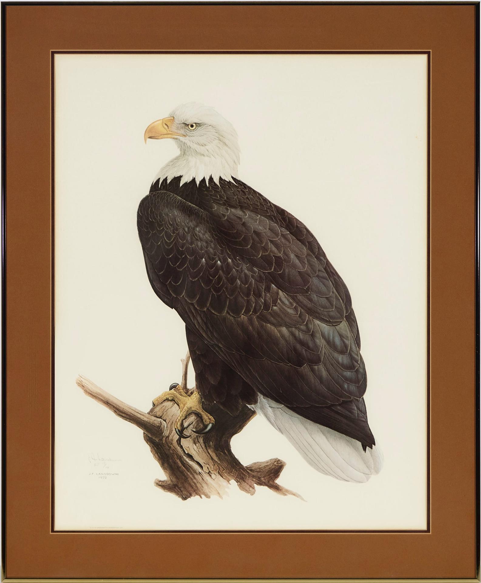 James Fenwick Lansdowne (1937-2008) - Bald Eagle