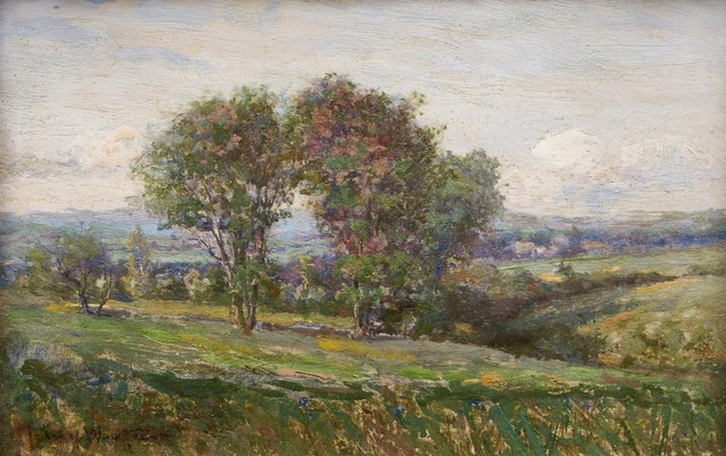 Percy Franklin Woodcock (1855-1936) - Landscape Near Chateauguay