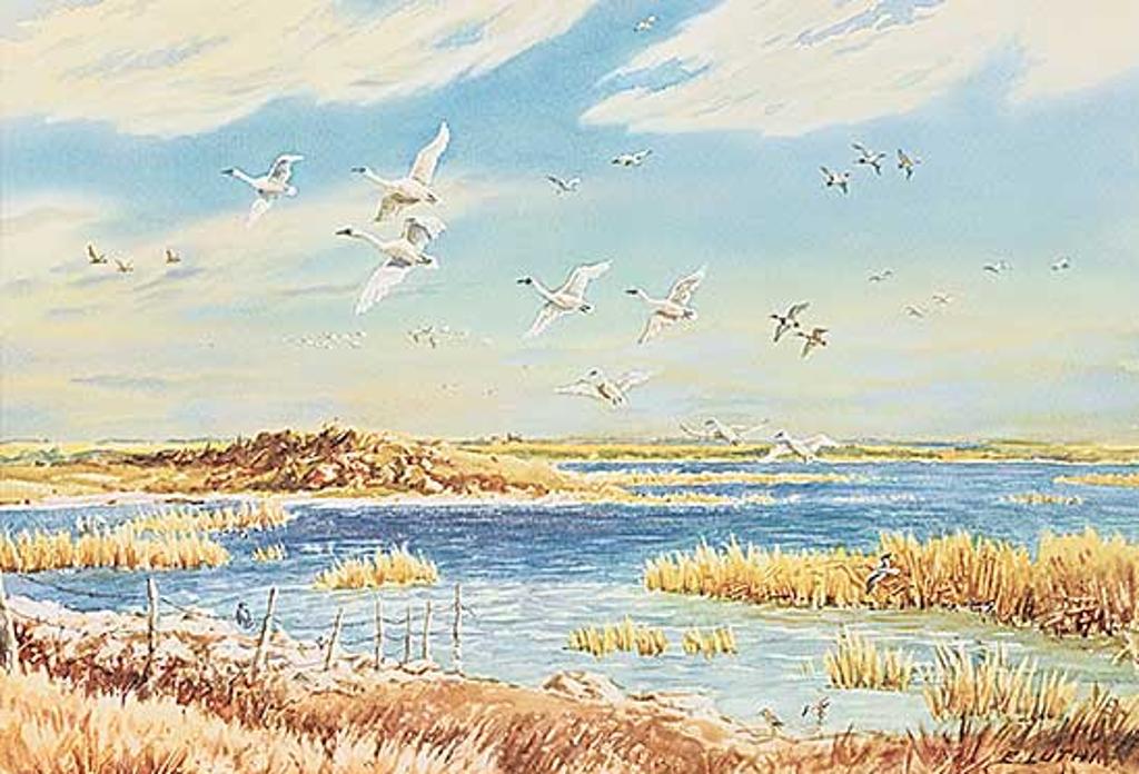 Ernest (Ernie) Luthi (1906-1983) - Wildlife Area, East of Lakecity School on N. West End of Long Lake