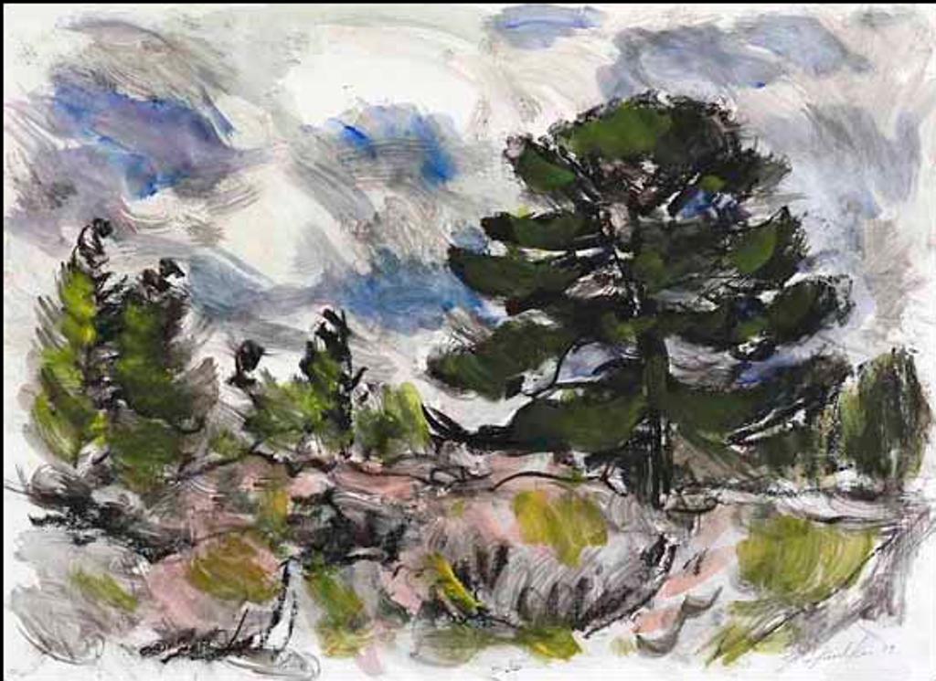 Gerald Faulder (1960) - Rocky Mountain Pine (03008/2013-3071)