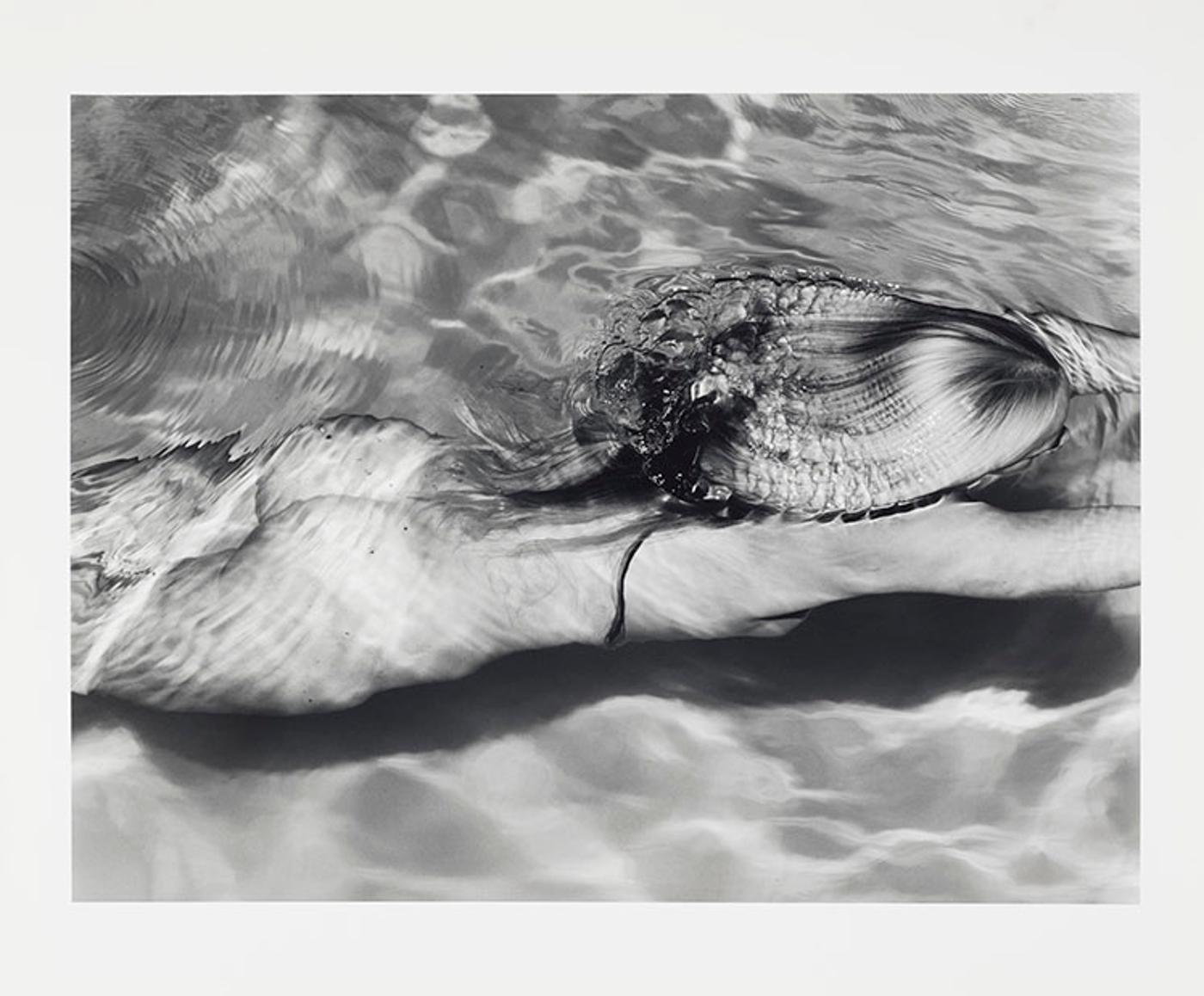 Michael Dweck (1957) - Mermaid 1, Amagansett, NY