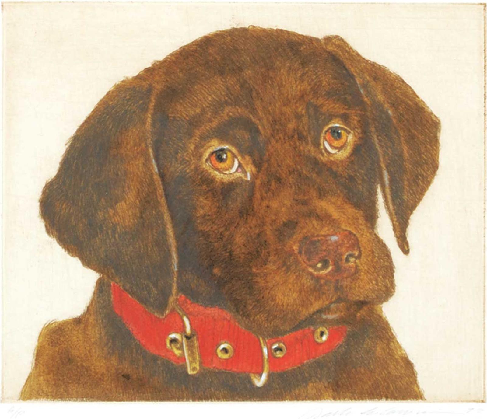 Jack Lee Cowin (1947-2014) - Untitled - Chocolate Labrador with Red Collar #A/P