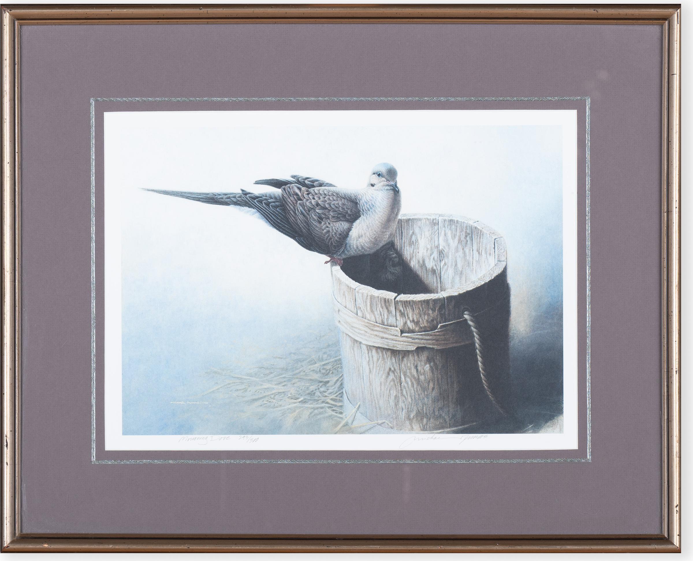 Michael Dumas (1950) - Morning Dove