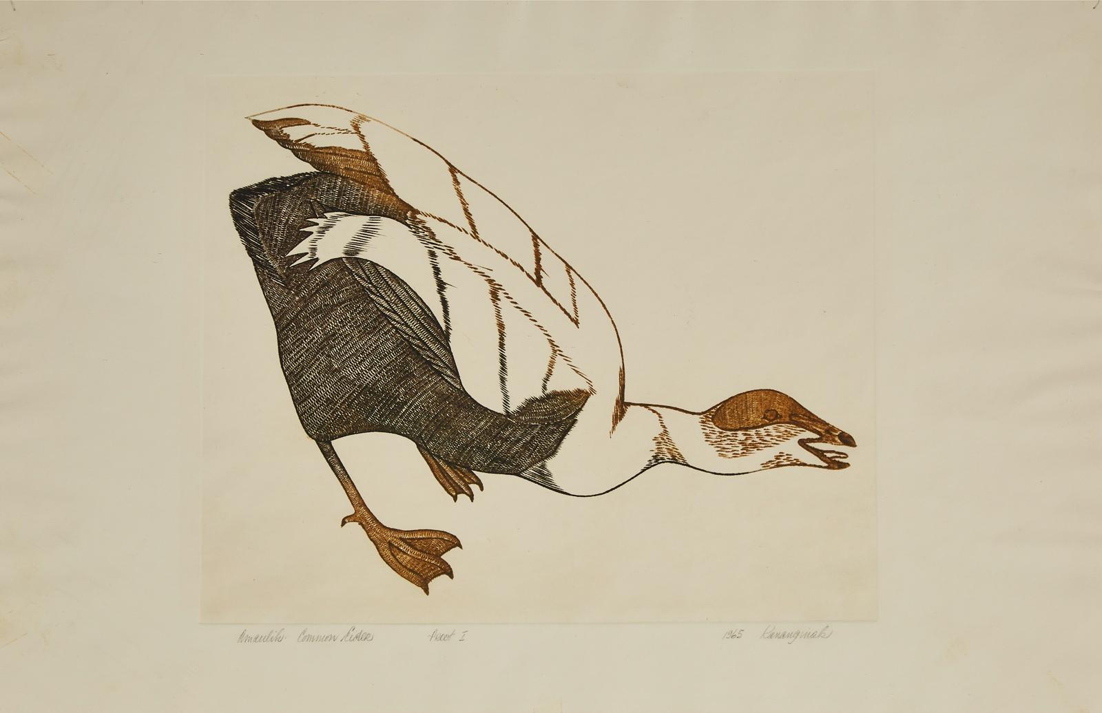 Kananginak Pootoogook (1935-2010) - Common Eider