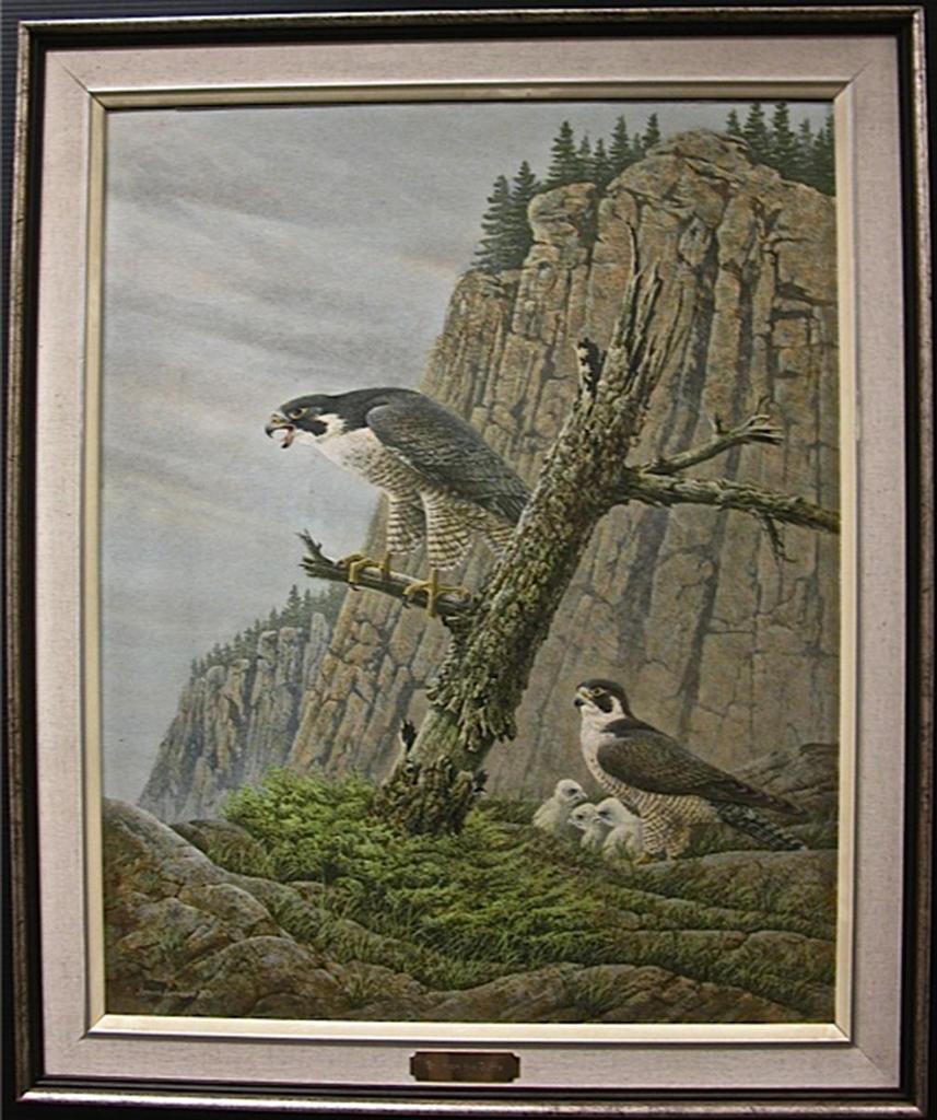 James Richard Lumbers (1929) - Peregrine Falcons, French River, 1980