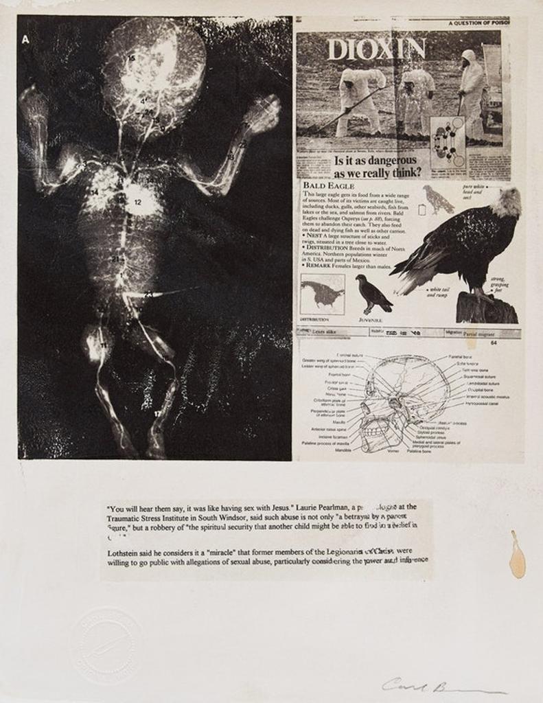 Carl Beam (1943-2005) - Untitled (Bald Eagle)