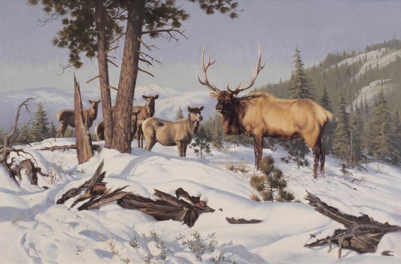 Winter Elk - oil painting - made by Harold Lloyd Lyon