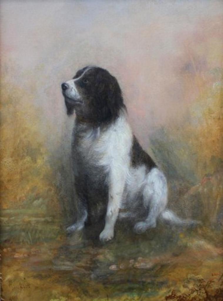 Samuel Hawksett (1856-1903) - Dog Seated in Landscape