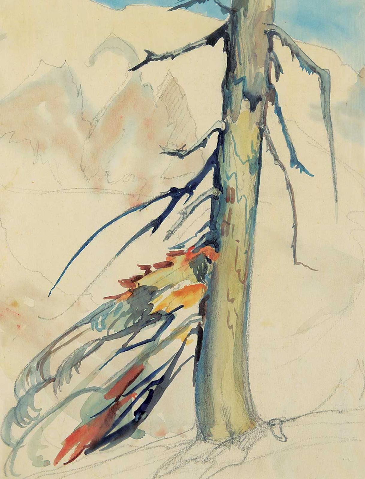 Ina D.D. Uhthoff (1889-1971) - Untitled - Tree Study